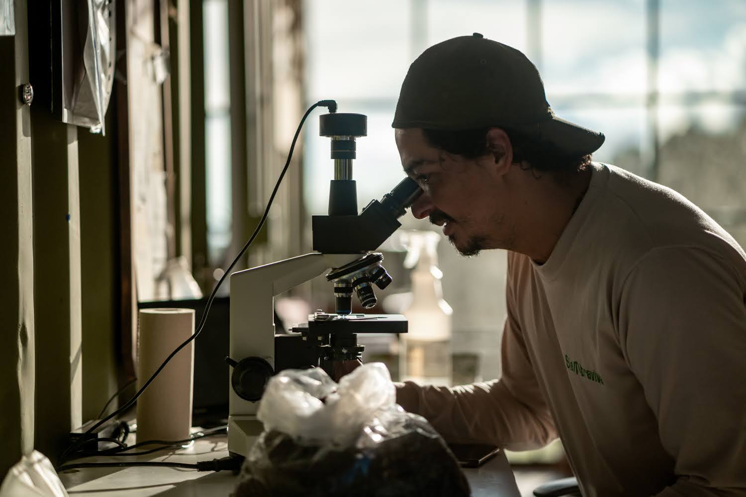 Microbiología al microscopio